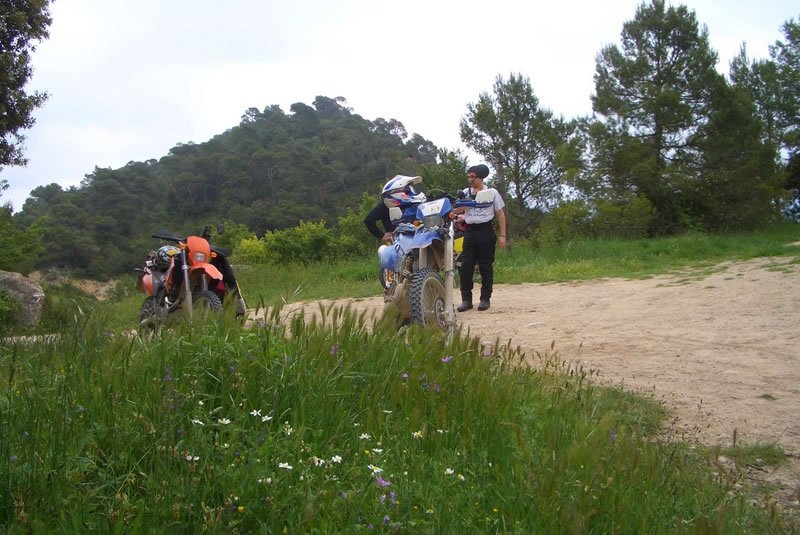 CIMG3127 [800x600]_jpg